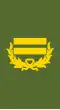 Lieutenant colonel