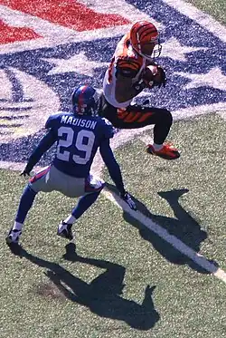 Sam Madison and Cincinnati Bengals #84 T.J. Houshmandzadeh, 21 September 2008.