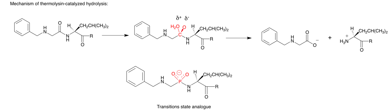 Transitions state analogue example 2