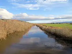 The Taieri River at Allanton