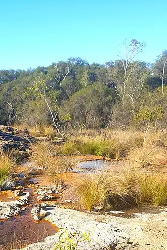 Talaroo Hot Springs, 2023