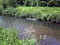 Bed and banks of the river, which is usually shallow and fast-flowing at this point.