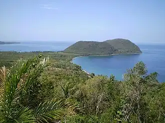 Habitat of Sphaerodactylus fantasticus fuga in Cabrits National Park, north-western Dominica.