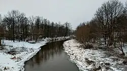 Tanew river near Zagać village
