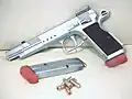 Tanfoglio Gold Team