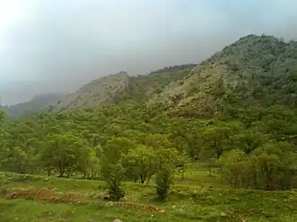 Tange deel around the Gachsaran city, Early spring