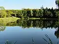 Tannschorrenweiher