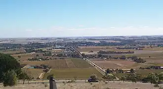 Autumn colour surrounding Tanunda