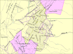 U.S. Census map