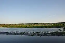 The river Trotuș in Târgu Trotuș