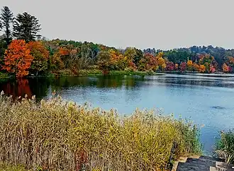 The Upper Lake