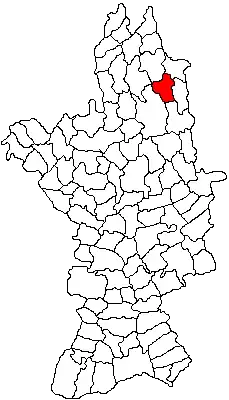 Location in Olt County