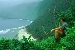 Sheer, forested cliffs on the southern side of Taʻū Island, American Samoa