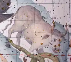 Taurus Poniatovii, constellation originated by Marcin Poczobutt in 1777 to honor the king Stanisław II Augustus[285]