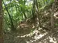 Mount Tavagnone, a glimpse of the mule track leading from the mount to the village of Fucina