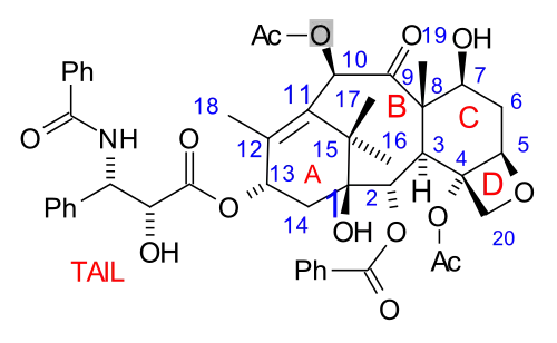 Paclitaxel, a polycyclic natural product with a tetracyclic core: with a heterocyclic, 4-membered D ring, fused to further 6- and 8-membered carbocyclic (A/C and B) rings (non-aromatic), and with three further pendant phenyl-rings on its "tail", and attached to C-2 (abbrev. Ph, C6H5; aromatics).