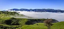 Scenery from the Napier-Taupō Road near Te Haroto