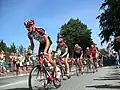 Riders from Team CSC in Danmark Rundt, August 2006