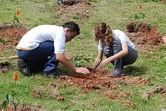 Students plant a tree at a school in Maricao