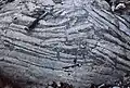Diagenetic structure in "teepee" on the supratidal plain, formed by the increase in volume of the sediment following the crystallization of carbonates (dolomite)