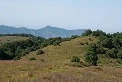 Scenery around Chochkan