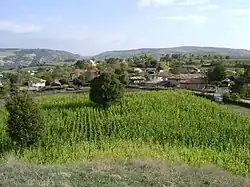 Photograph of a field with the village in the background