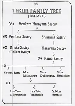 Family tree of Tekur Subramanyam