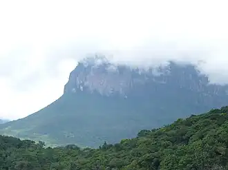 Photo of Sarisariñama on a foggy day.