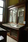 Cabinet 1 with salamander and tortoise holotypes