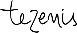 Tezenis old logo