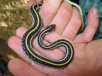 In Illinois