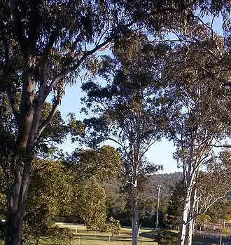 Walton Bridge Reserve at The Gap