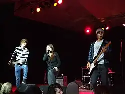 The Maddigans performing live in 2008