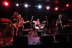 Reunion gig, 2015