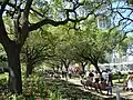 The Brown Foundation Promenade