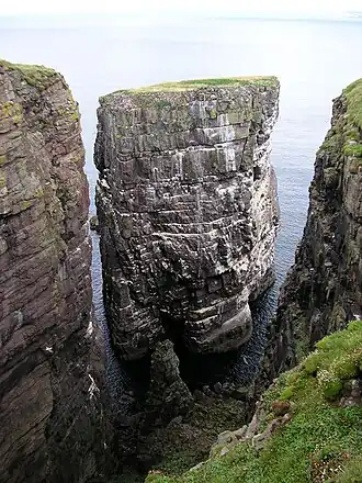 The Great Stac of Handa