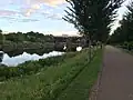 'Dodoens' avenue by the Ribble Viaduct, Miller Park, Preston, Lancashire, 2017