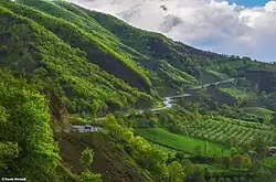 Forested landscape in Mirabad County