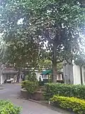 The courtyard near the Parish Hall at St. Paul's Church.