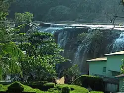 Thirparappu waterfalls
