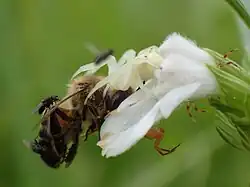 multiple males visible