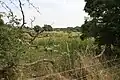 Thompson Common