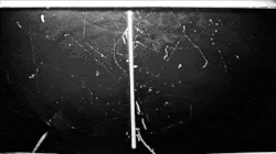 Radioactivity of a Thorium rod sample as seen in a cloud chamber.