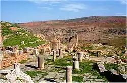 Tiddis Roman Ruins