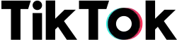 TikTok Logo Text