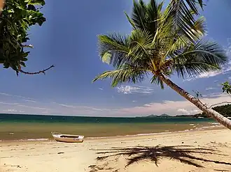 Timber boat on Bingil Bay beach, 2009