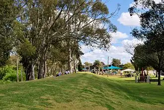 The levee and foreshore park at Tocumwal