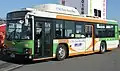 Isuzu Erga CNG PJ-LV834L1