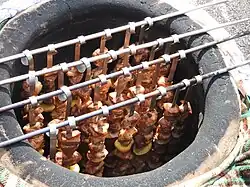 Khorovats kebabs