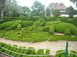 Topiary in the Botanical garden Thiruvananthapuram, India